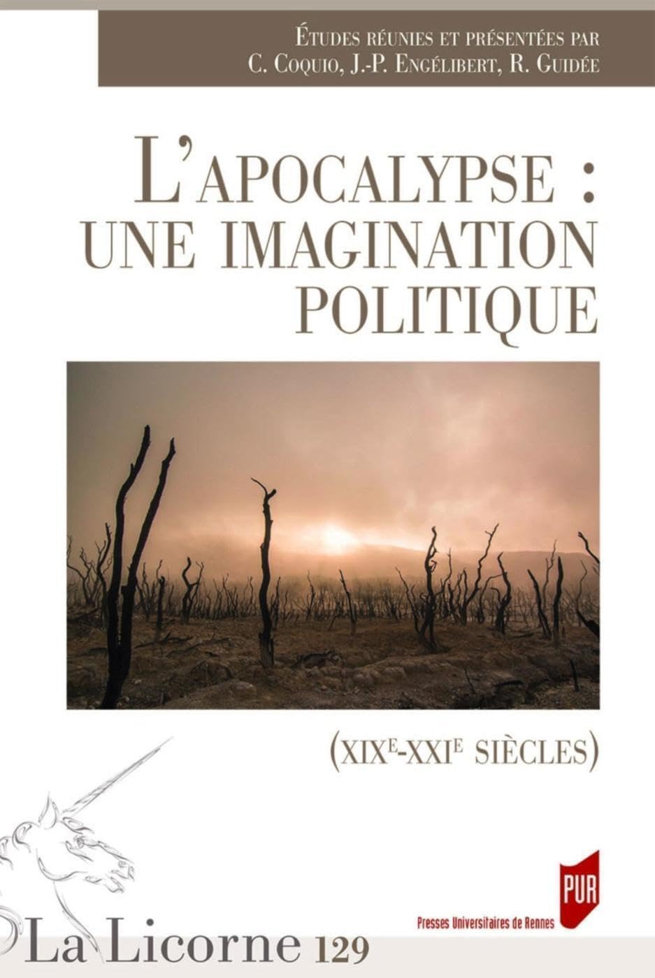L'Apocalypse : une imagination politique: (XIXe-XXIe siècles) Books