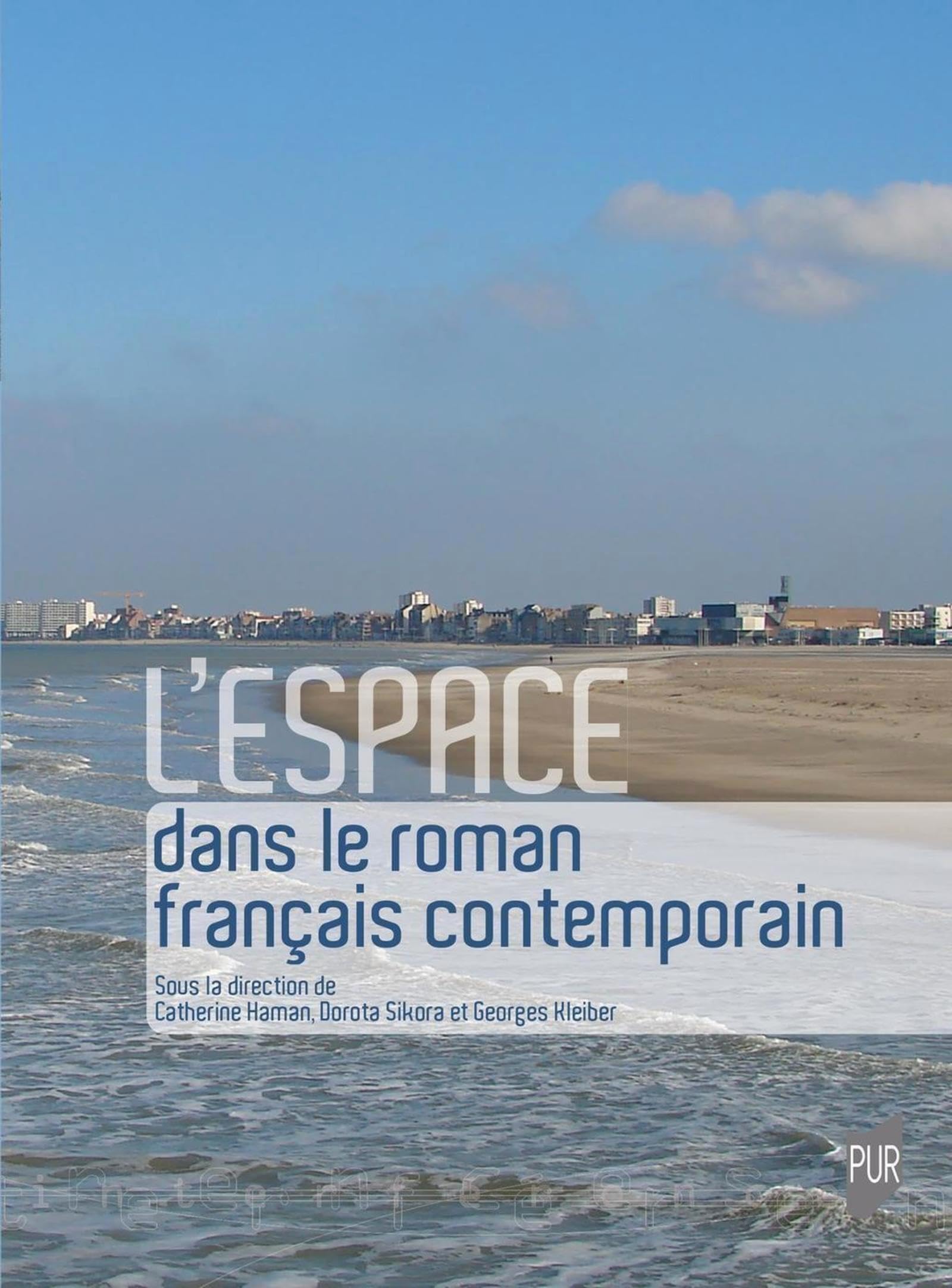 L'espace dans le roman français contemporain book