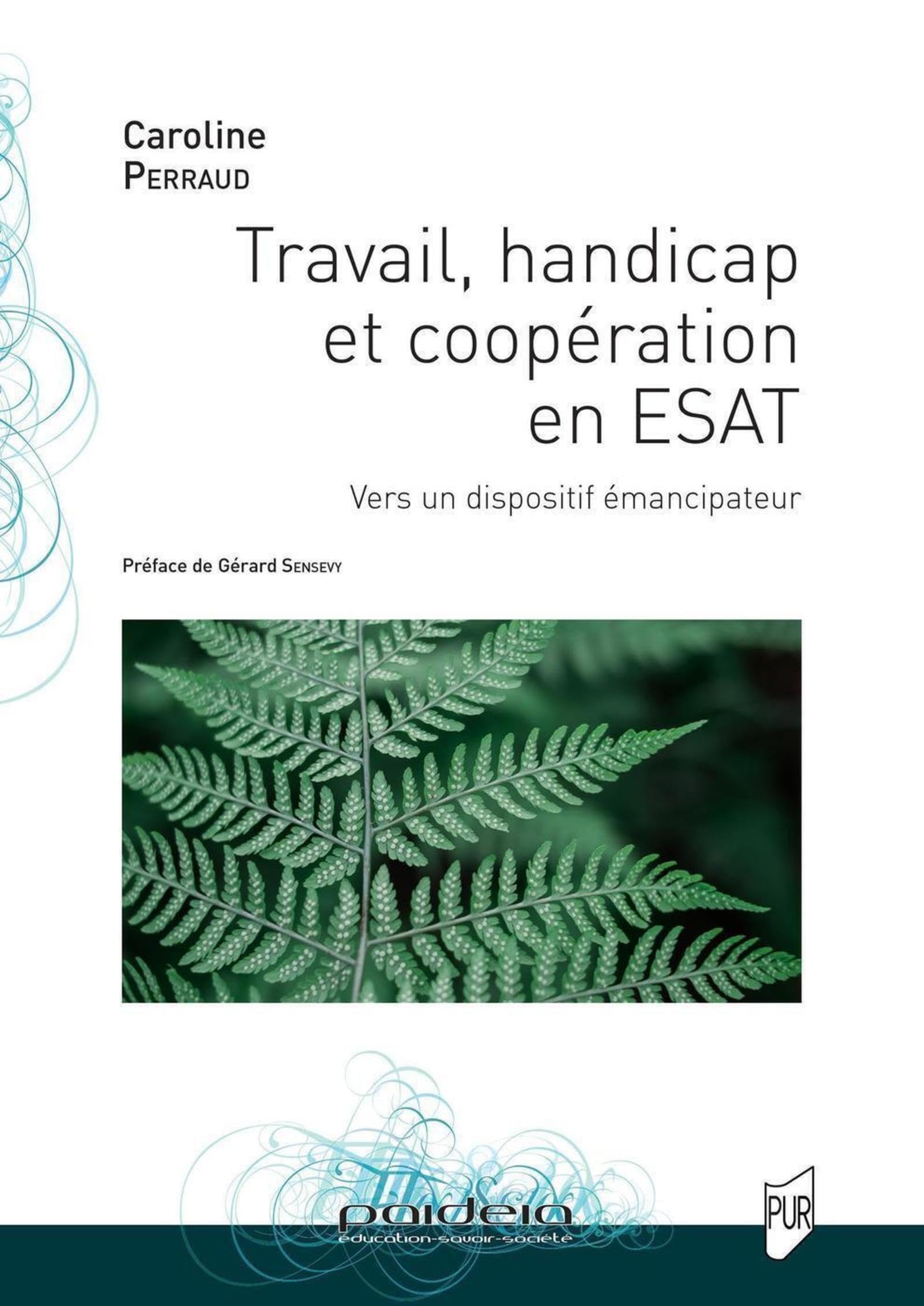 Travail, handicap et coopération en ESAT: Vers un dispositif émancipateur Education & Training