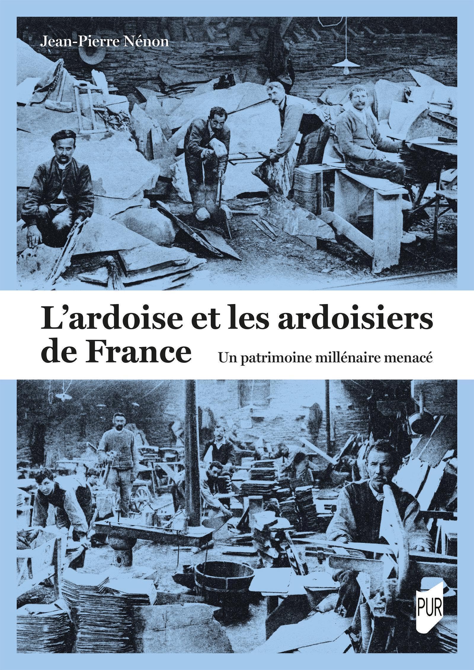 L'ardoise et les ardoisiers de France: Un patrimoine millénaire menacé book