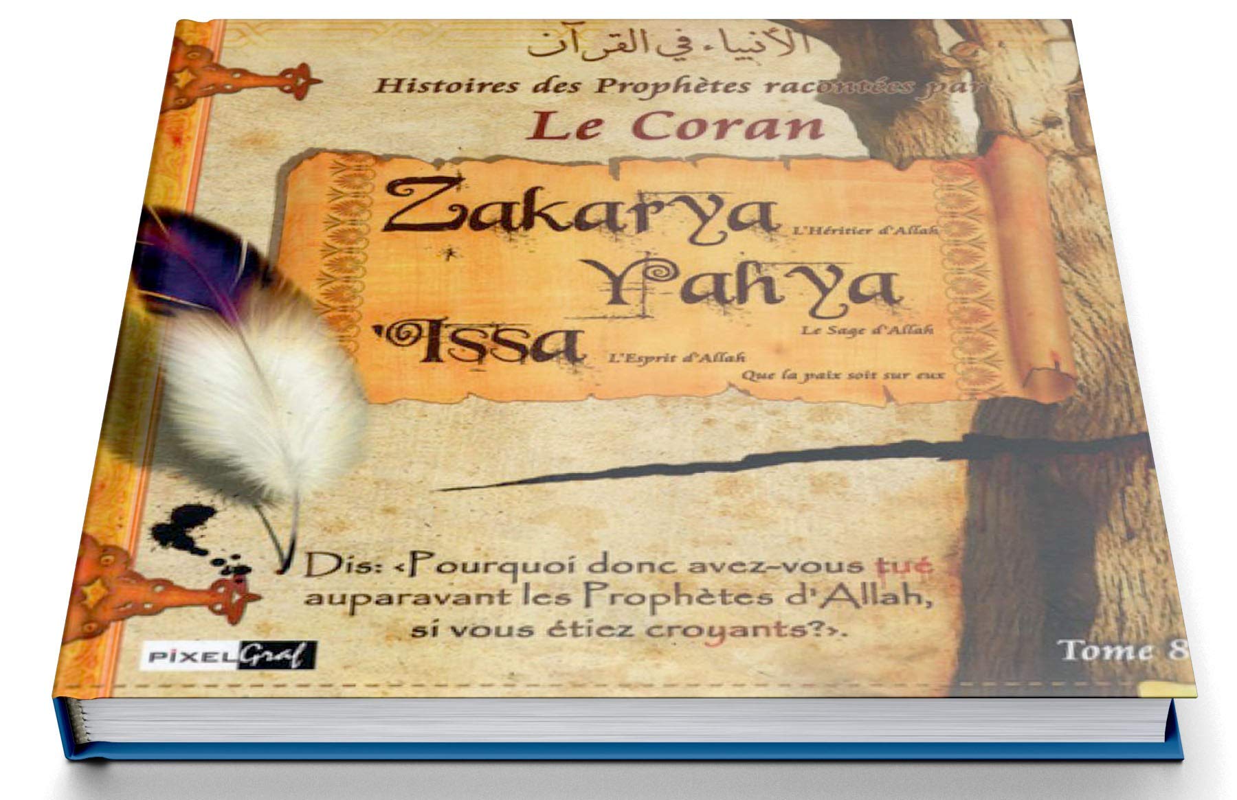 Histoires Des Prophètes Racontées Par Le Coran : Zakarya,Yahya, Issa (Sbdl) - Tome 8 Books