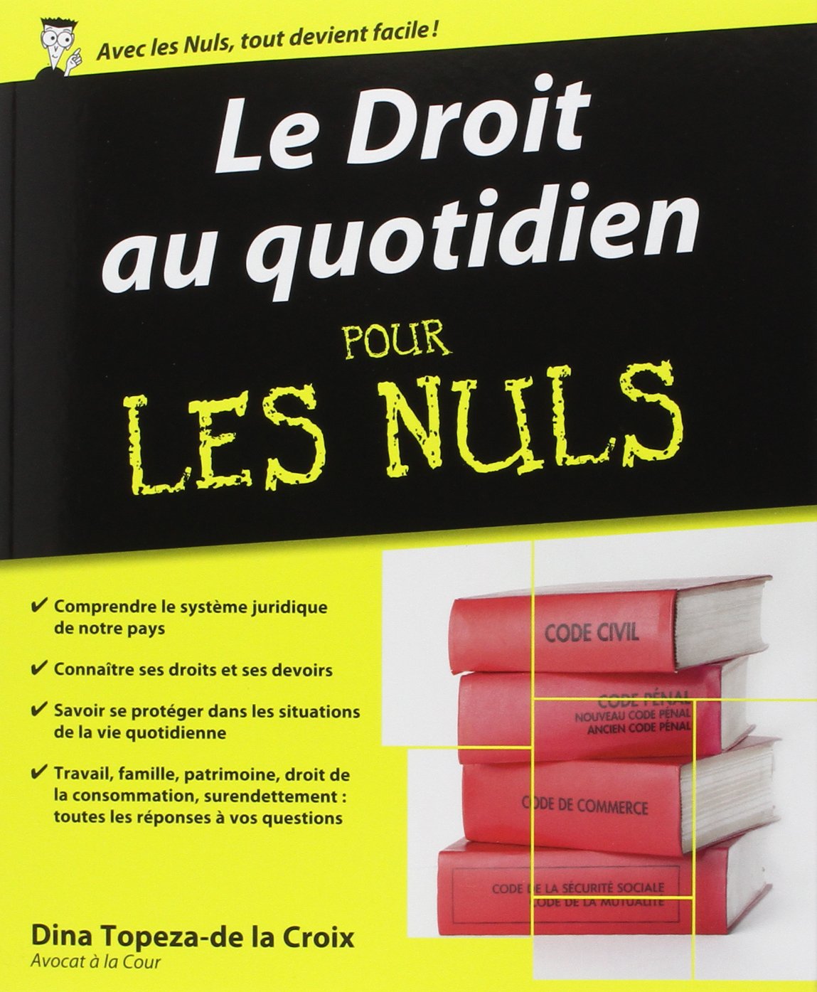 Le Droit au quotidien pour les Nuls book