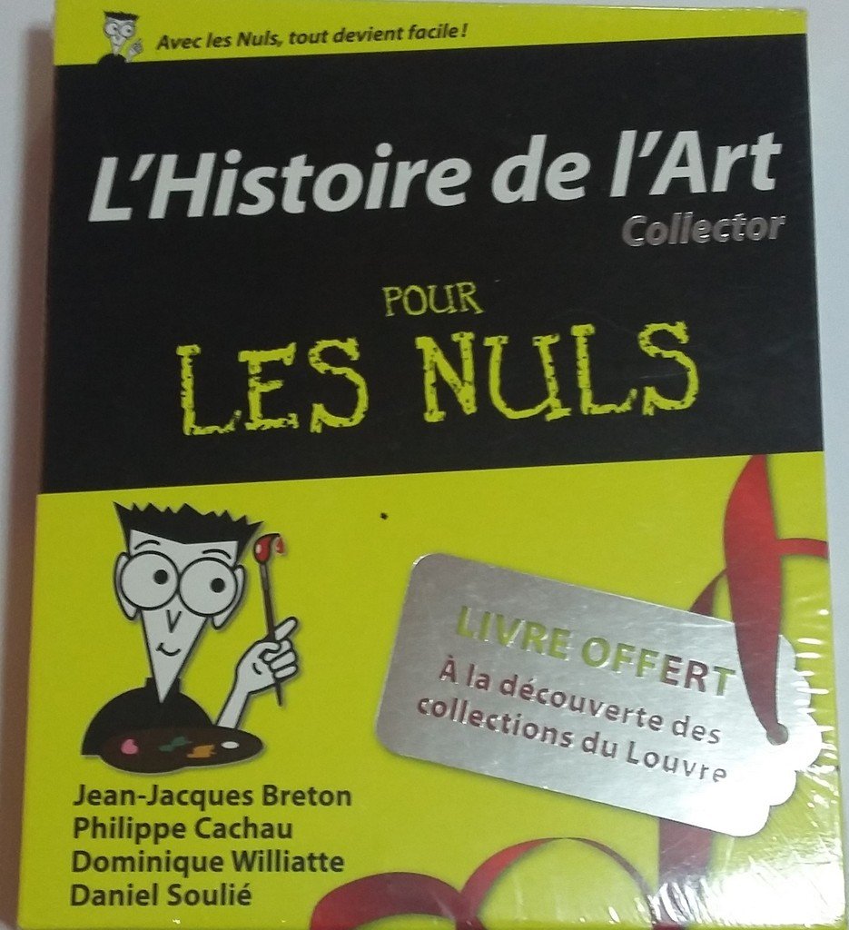 L'Histoire de l'Art pour les Nuls Collector: 2 volumes Books