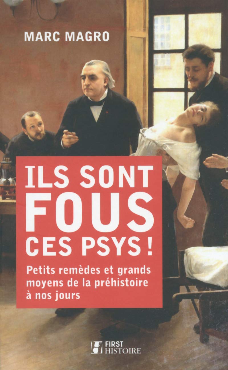 Ils sont fous ces psys !: Petits remèdes et grands moyens de la préhistoire à nos jours Social Sciences