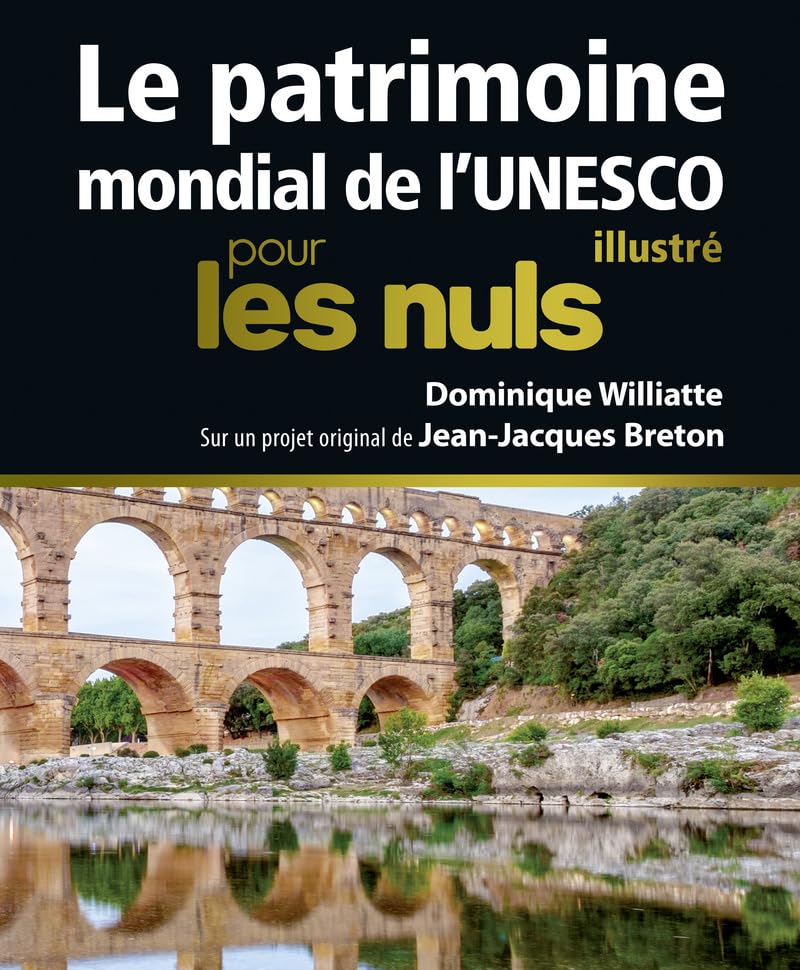 Le patrimoine mondial de l'Unesco illustré Pour les Nuls Politics & History