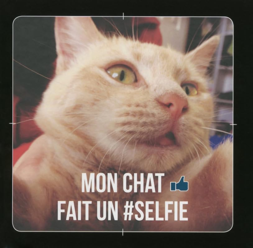 Mon chat fait un selfie ! book