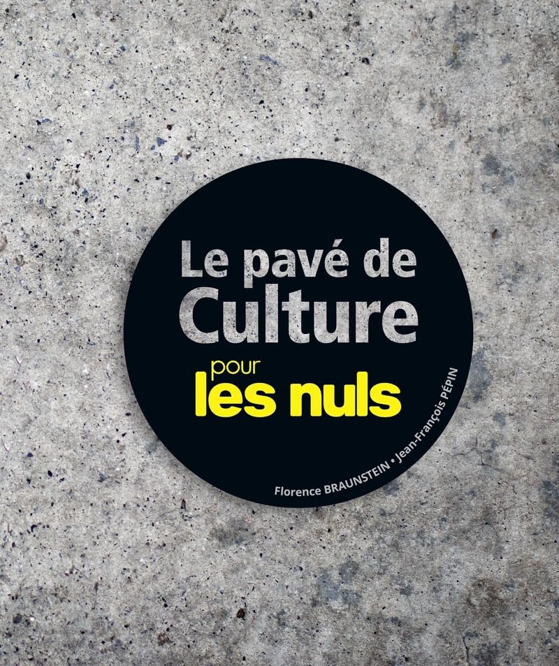 Le Pavé de culture pour les Nuls book