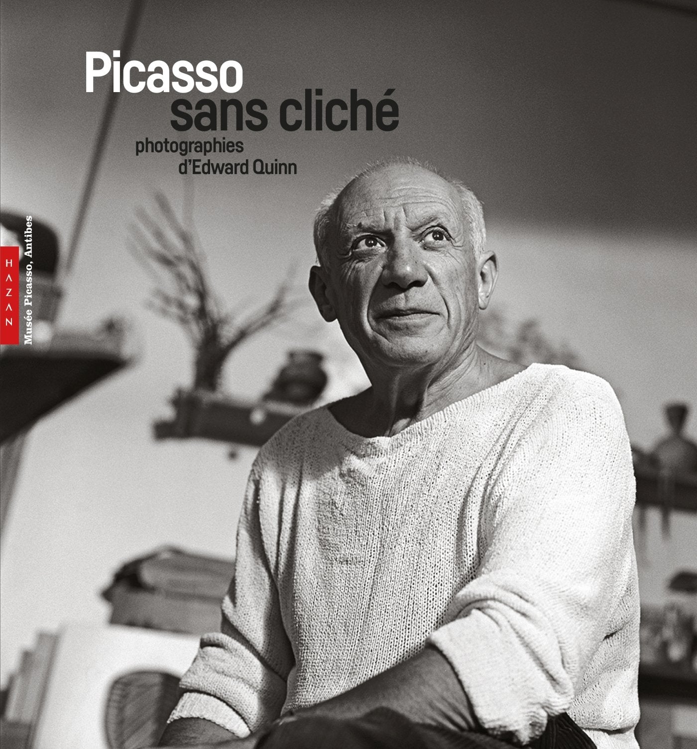 Picasso sans cliché. Photographies d'Edward Quinn book