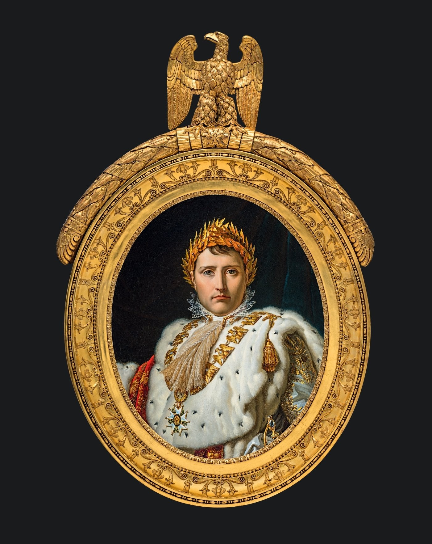 Napoléon. La maison de l'Empereur book