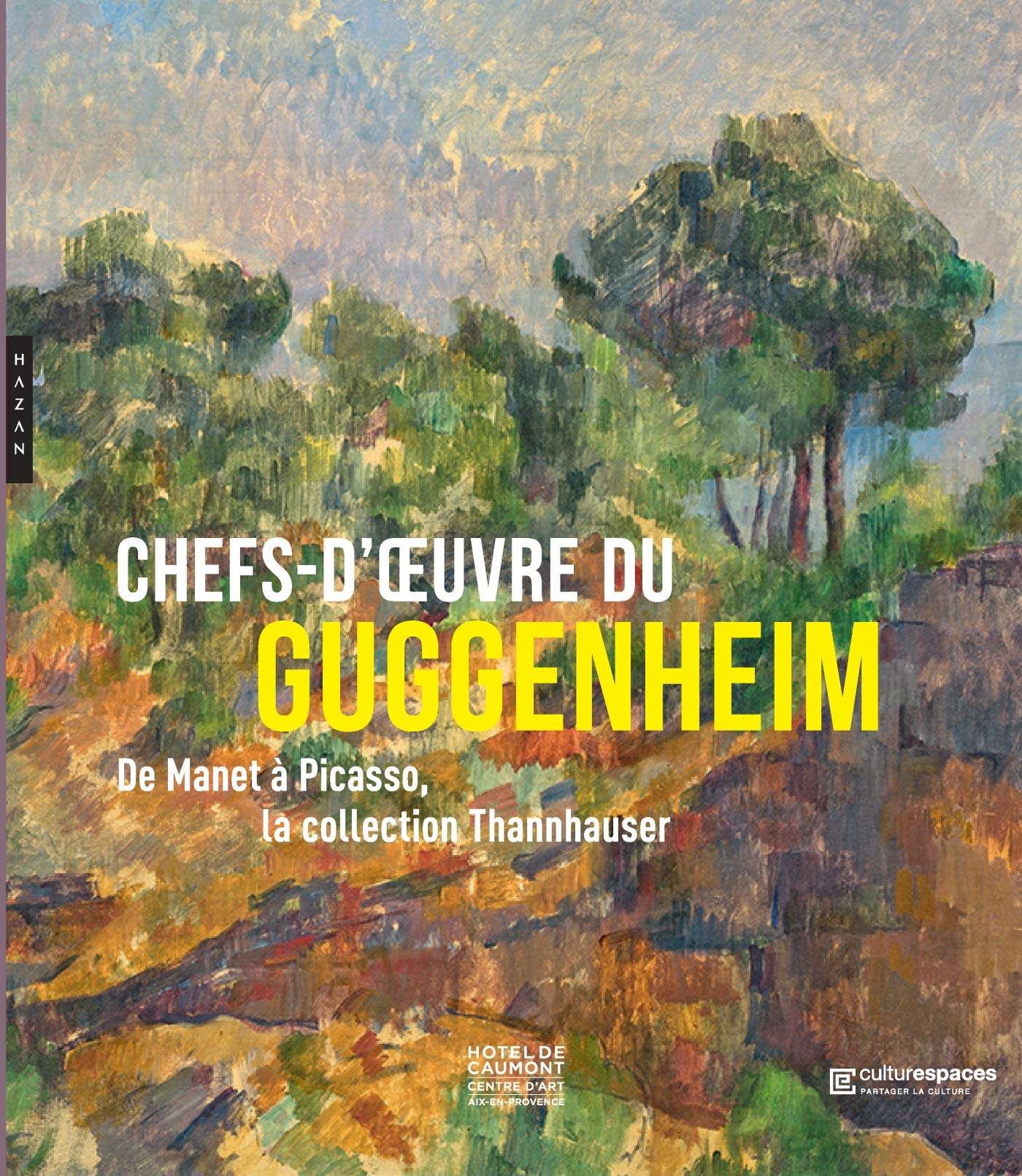 Chefs d'oeuvre du Guggenheim. De Manet à Picasso, la collection Thannhauser book