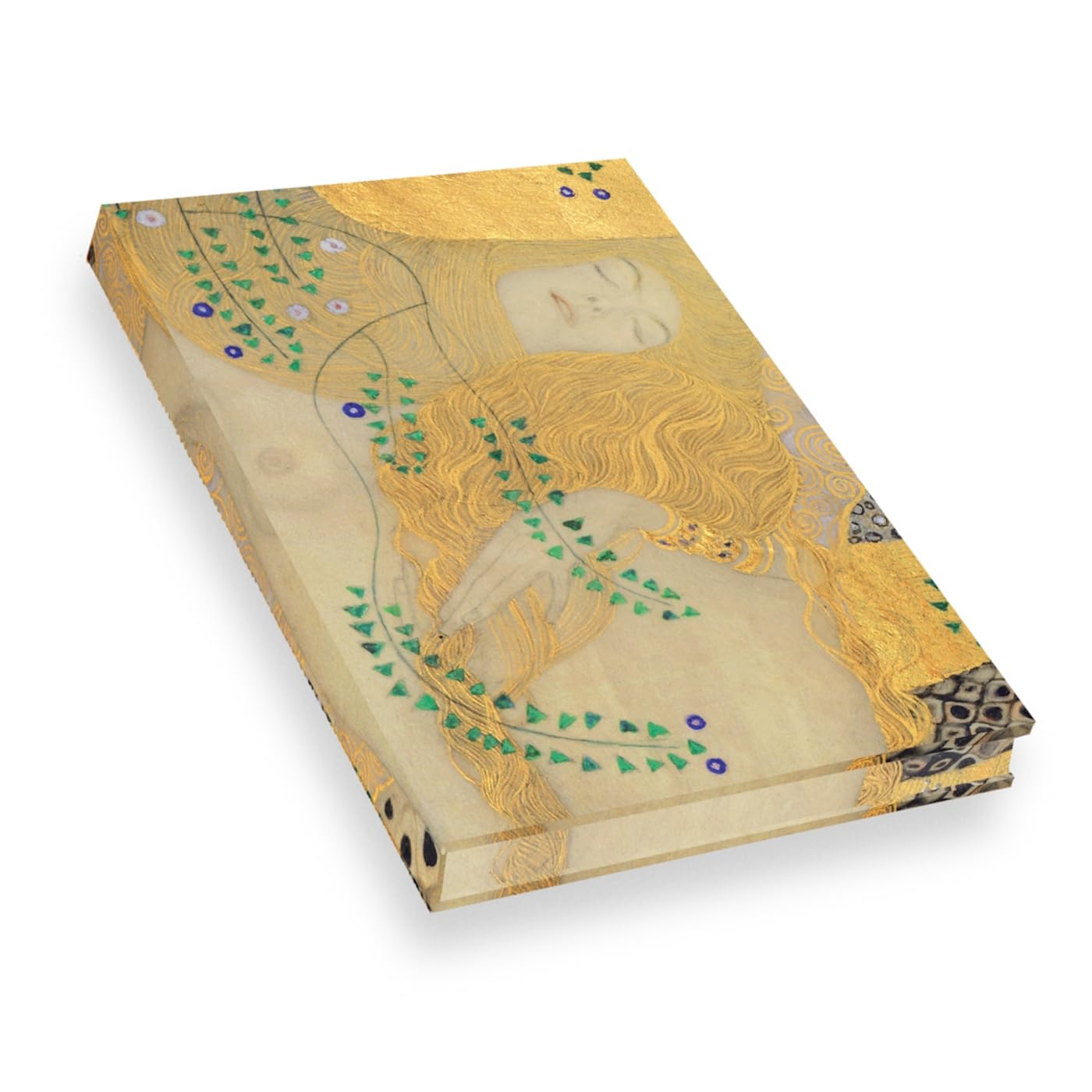 Carnet Hazan pleine toile. Klimt L'Hydre book