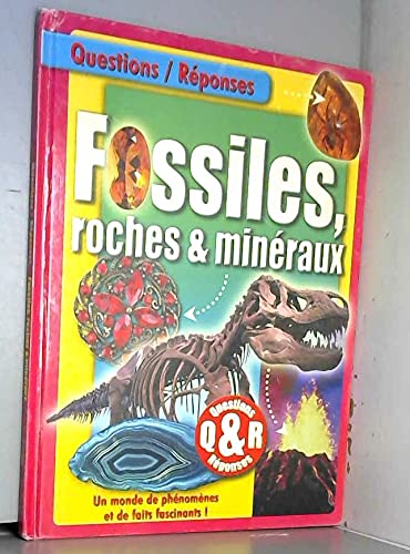 Questions/Réponses: Fossiles, roches et minéraux book