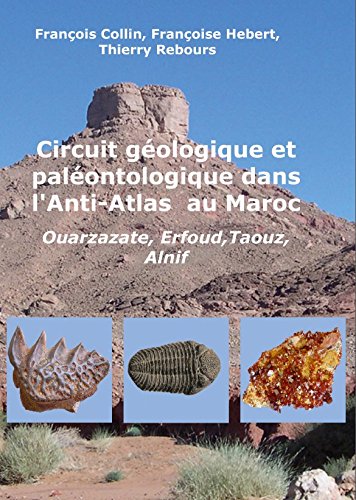 Circuit géologique et paléontologique dans l'Anti-Atlas au Maroc book