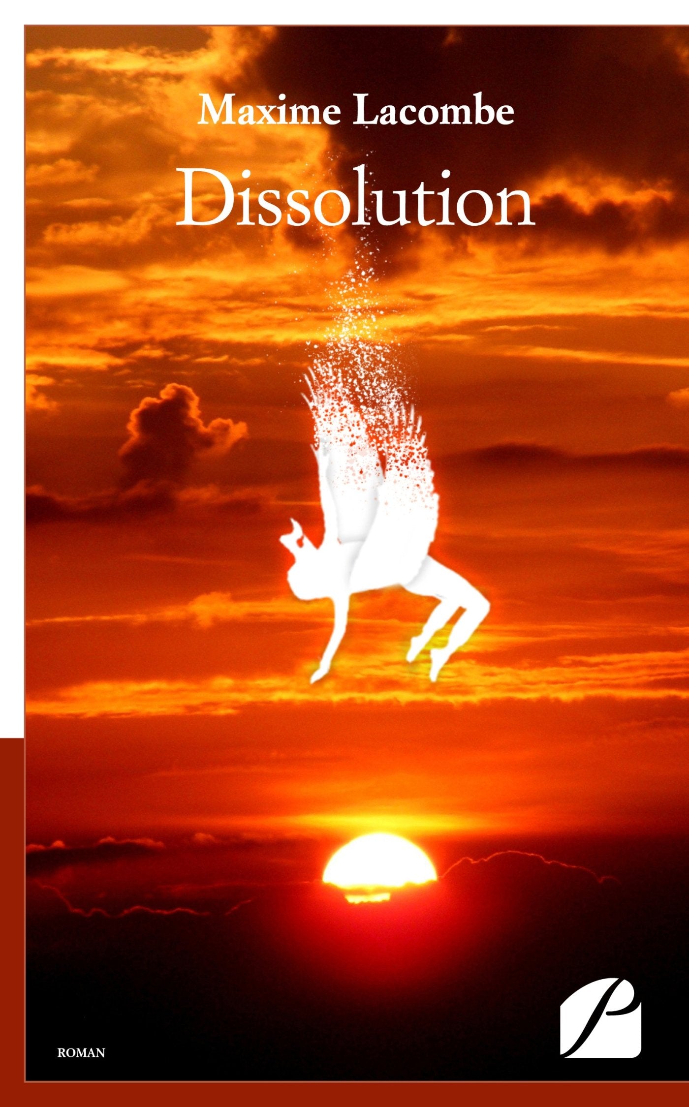 Dissolution Contemporary literature Books