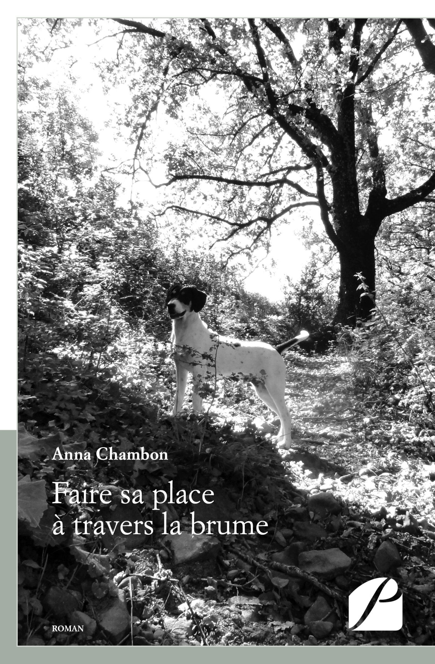 Faire sa place à travers la brume Contemporary literature