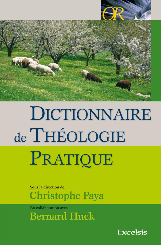 Dictionnaire de théologie pratique Books