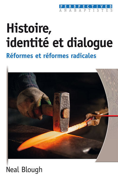 Histoire, identité et dialogue : réformes et réformes radicales book