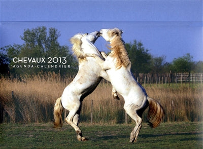 Product Image: Chevaux 2013 : l'agenda-calendrier