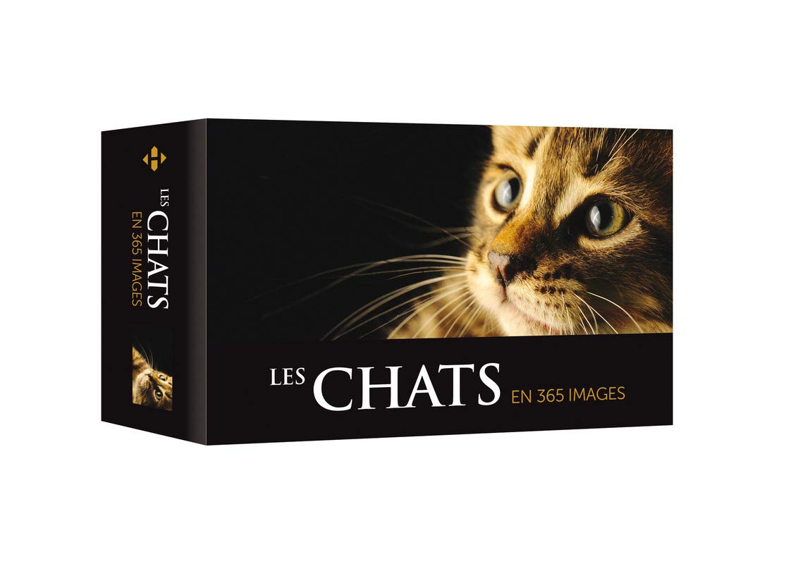Les chats en 365 images 2019 Partnership & Love