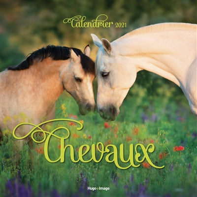 Product Image: Chevaux : calendrier 2021