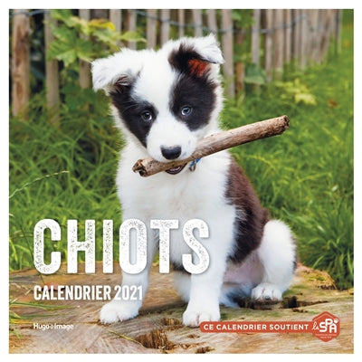 Product Image: Chiots : calendrier 2021