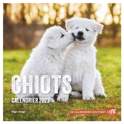 Product Image: Chiots : calendrier 2022