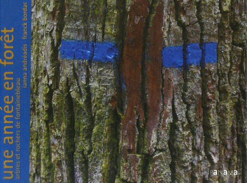 Une année en forêt: Arbres et rochers de Fontainebleau Photography