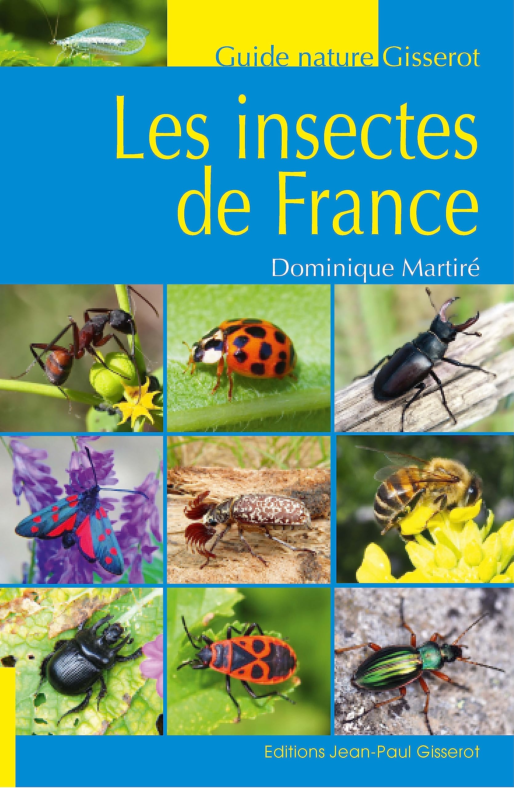 Les insectes de France book