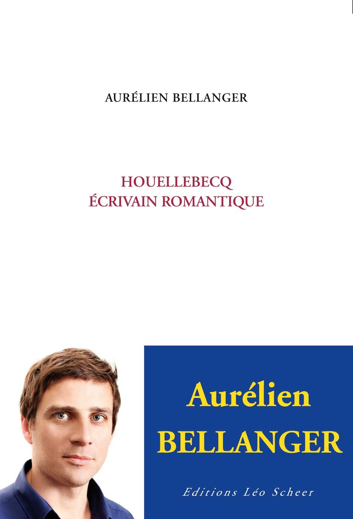 Houellebecq, écrivain romantique book