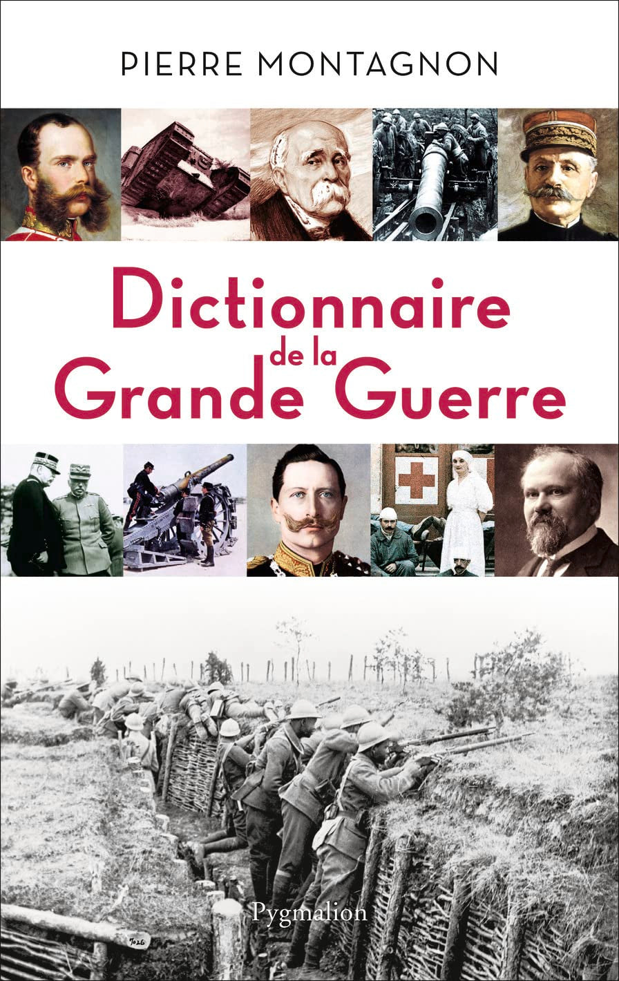 Dictionnaire de la Grande Guerre: 1914-1918 book