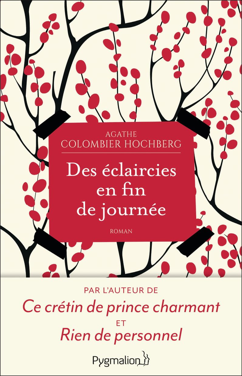Des éclaircies en fin de journée Contemporary literature