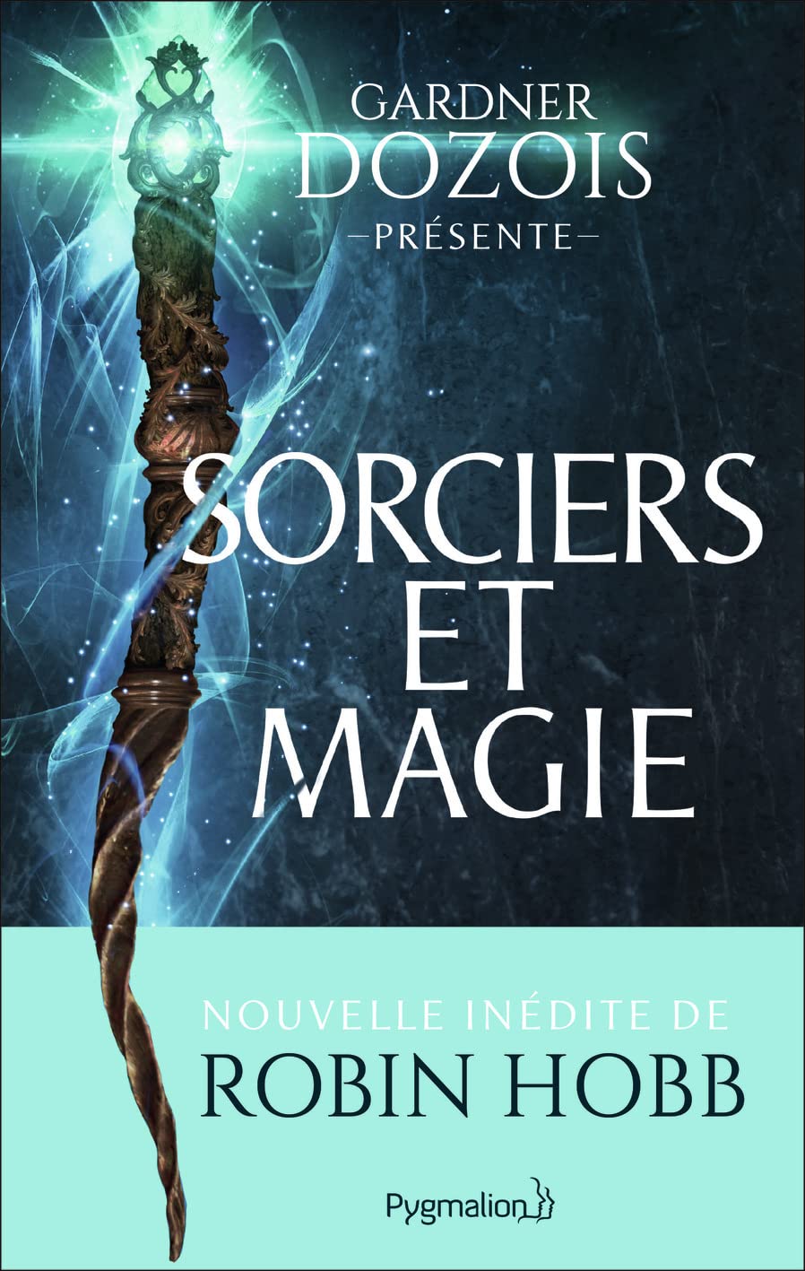 Sorciers et magie Contemporary literature