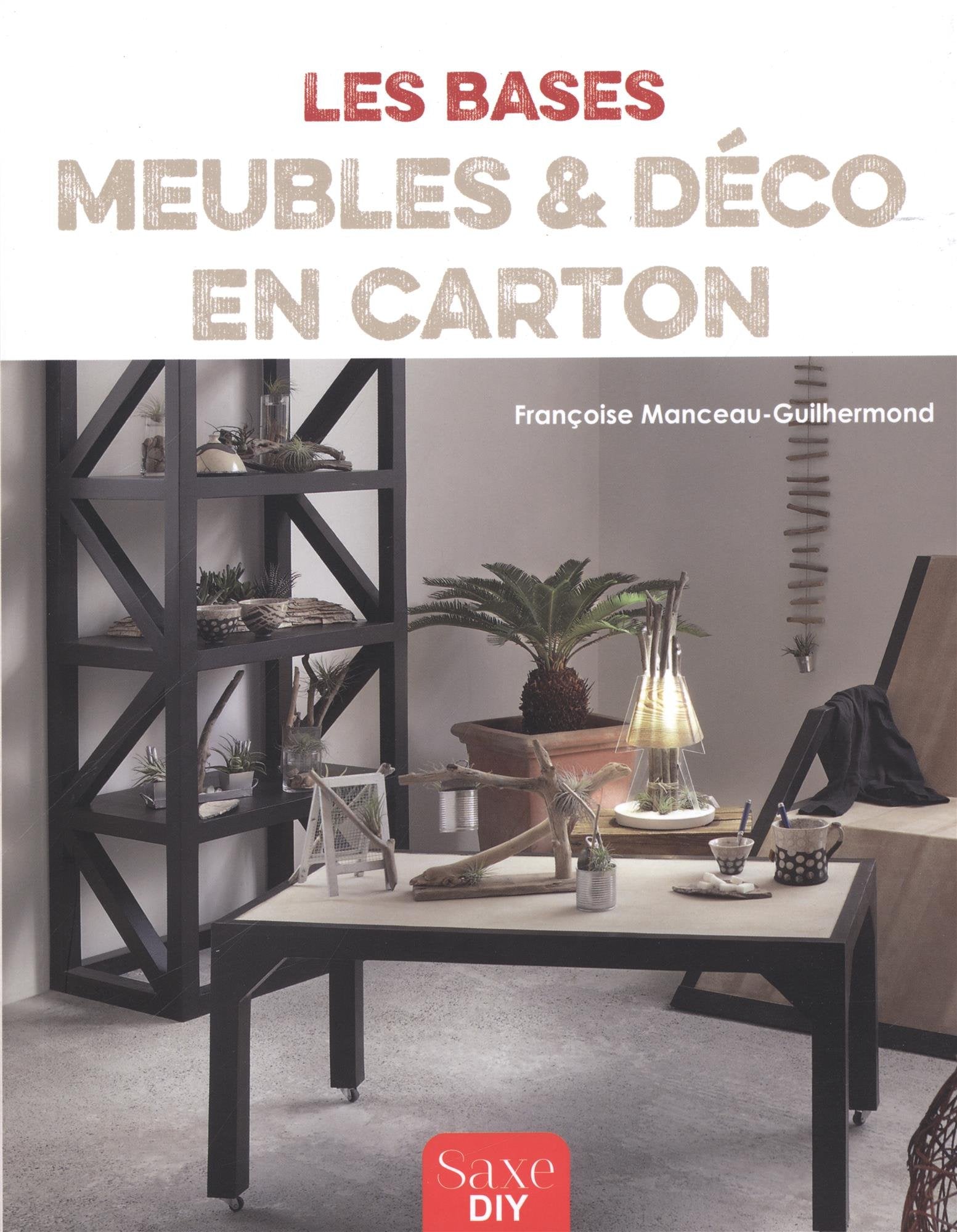 MEUBLES & DECO EN CARTON book