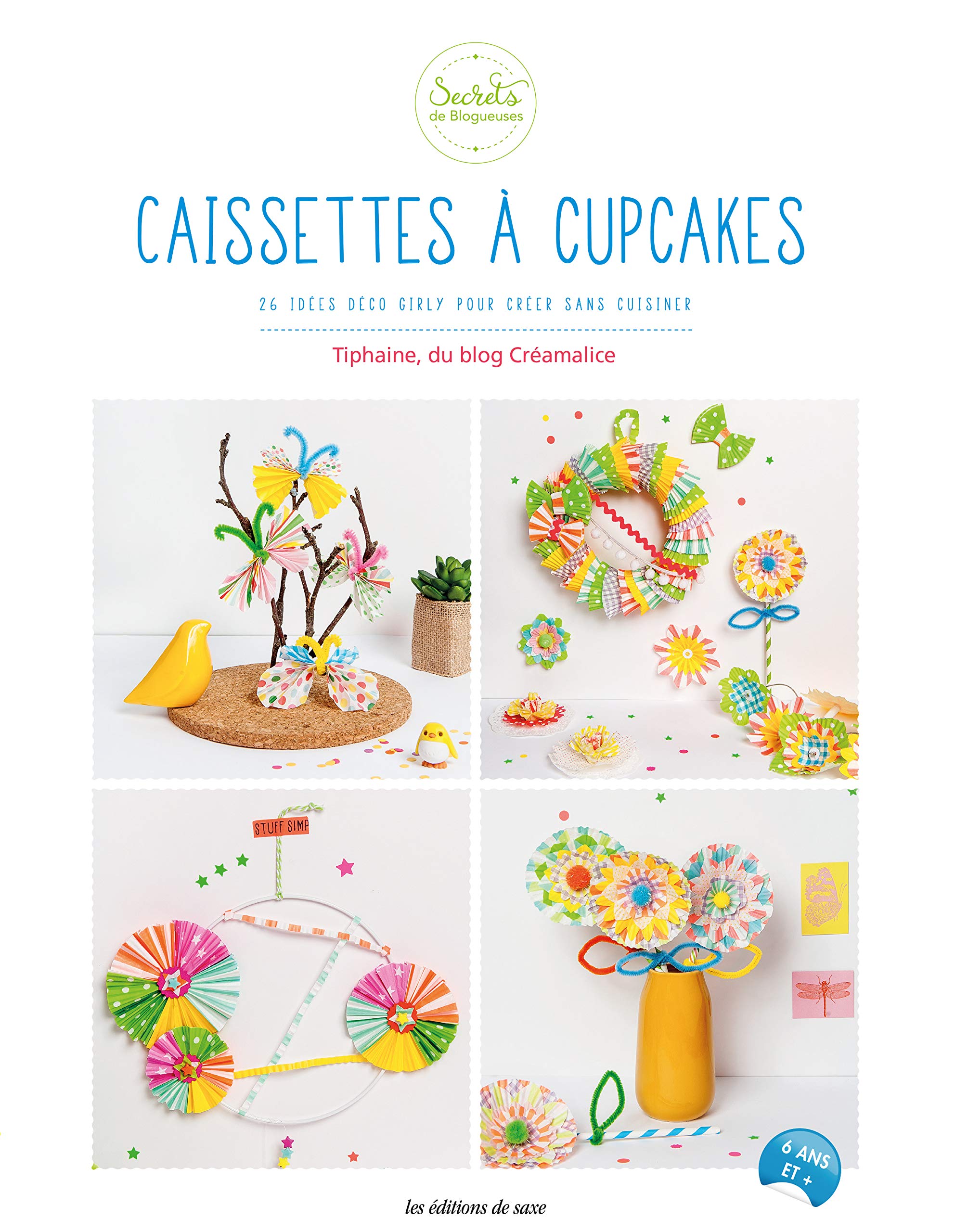 CAISSETTES A CUPCAKES book