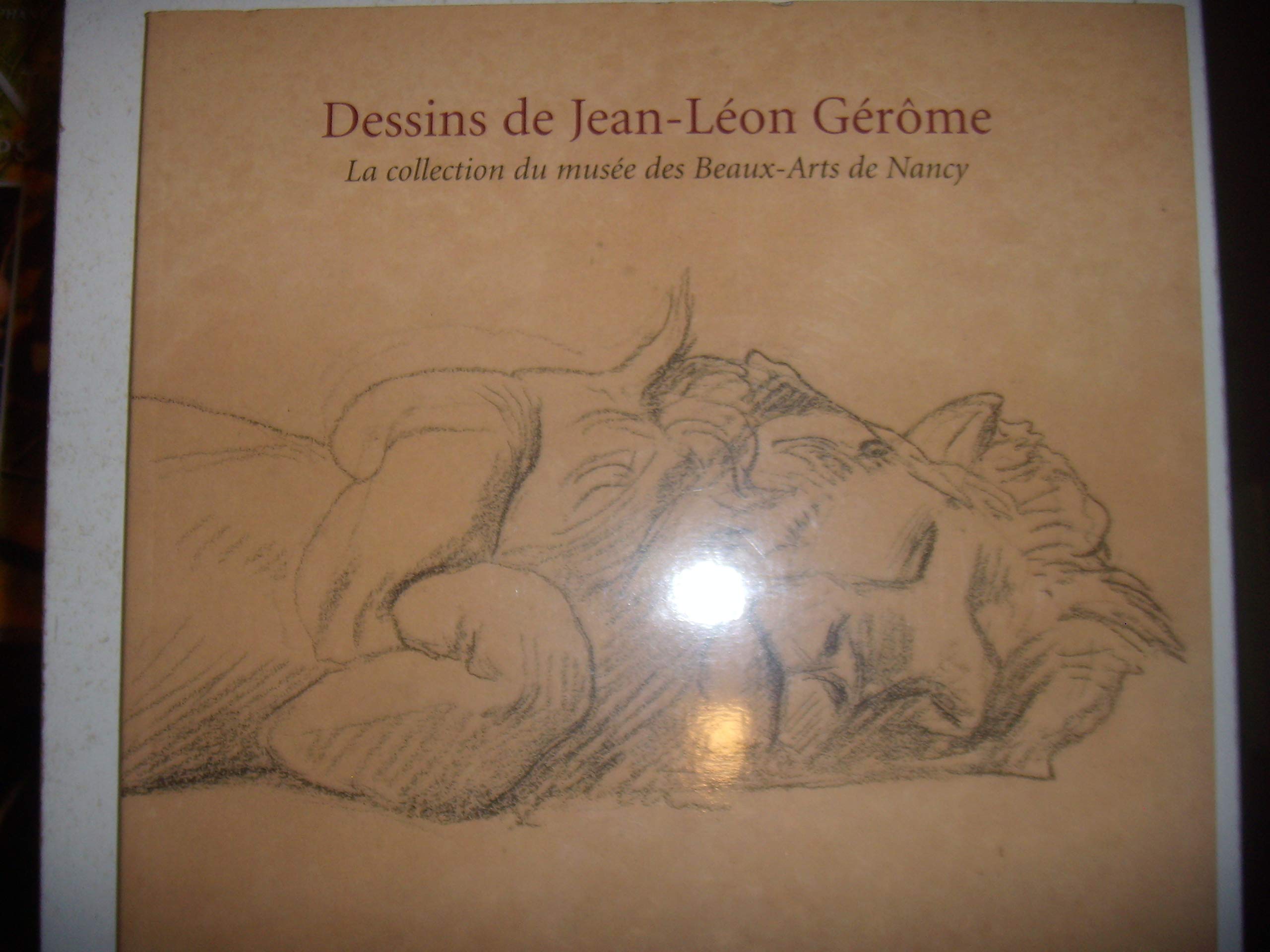 Dessins de Jean-Léon Gérôme: La collection du musée des Beaux-Arts de Nancy Books
