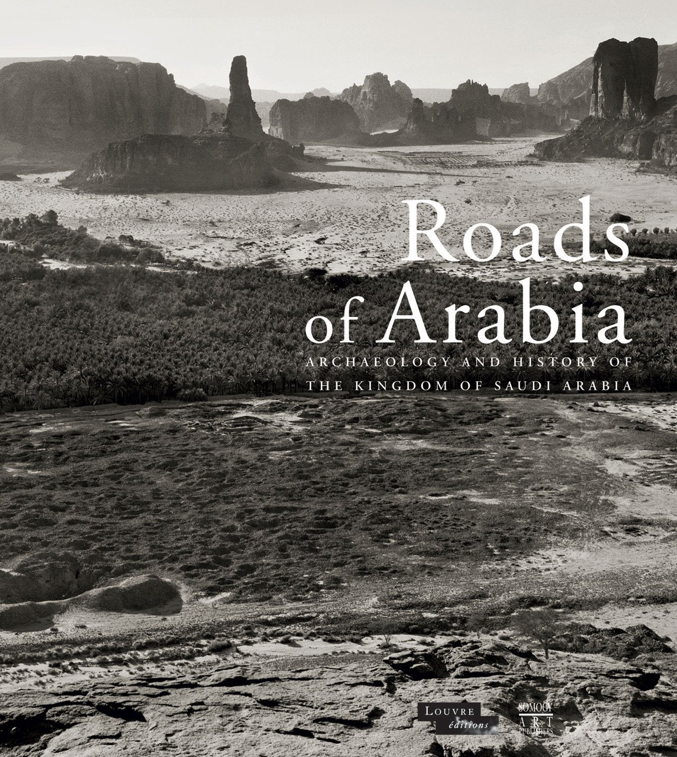 Routes de l'arabie (anglais) (les) book