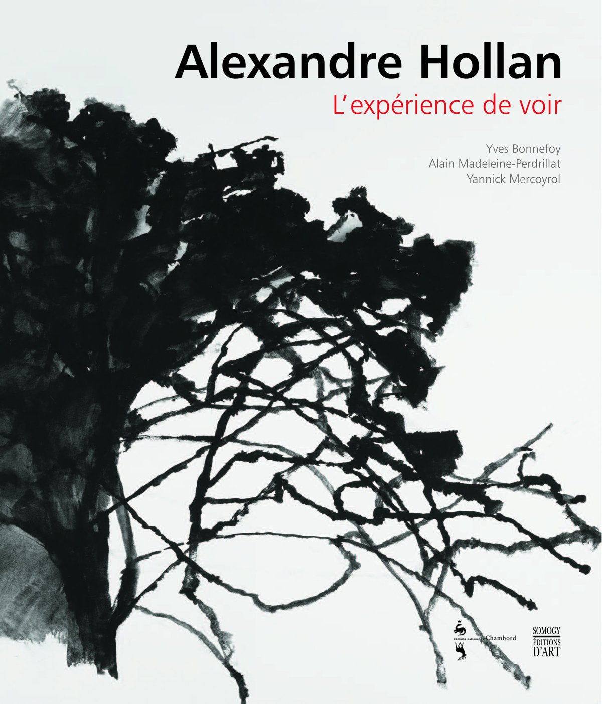 Alexandre Hollan: L'expérience de voir book