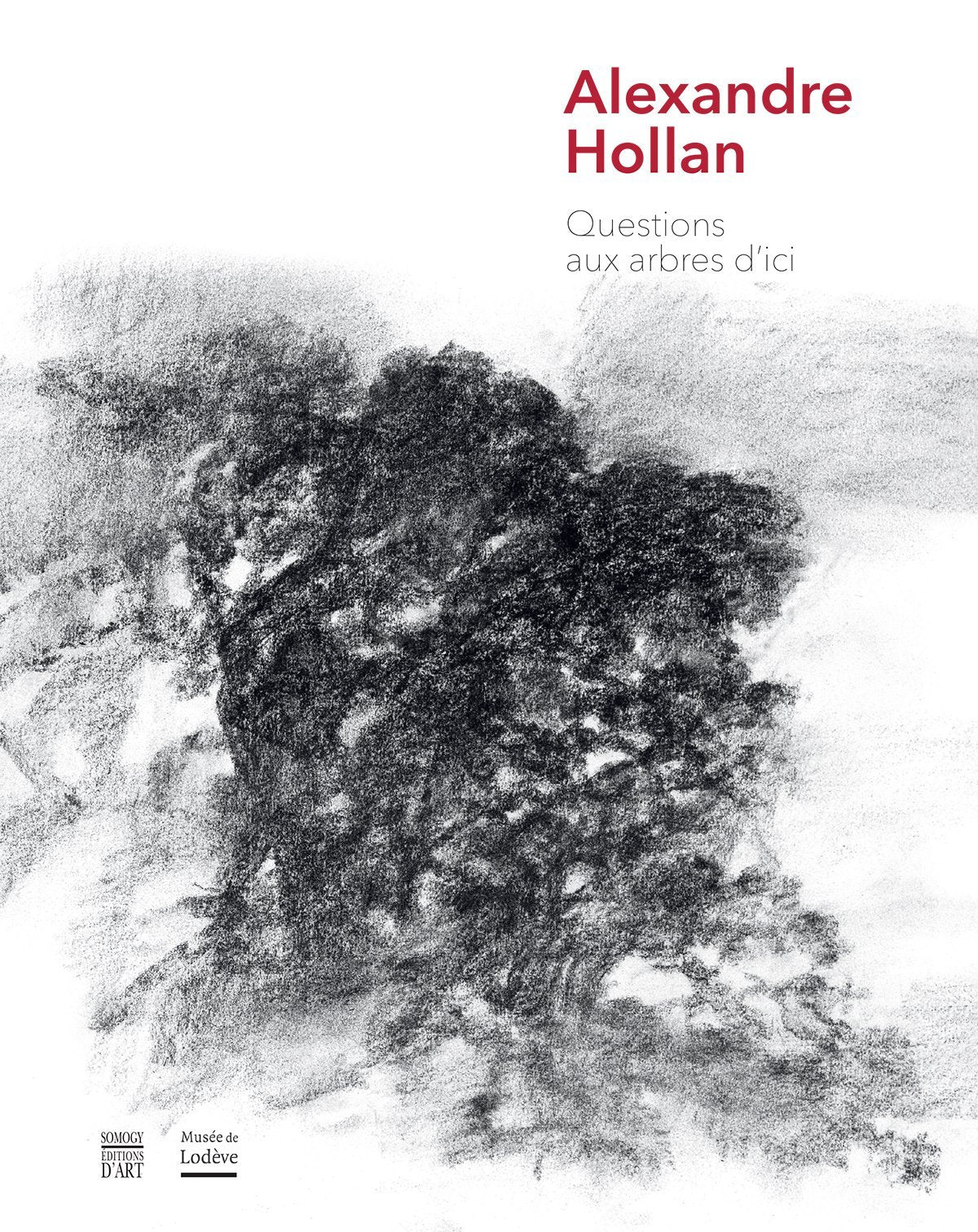 Alexandre Hollan: Questions aux arbres d'ici Books