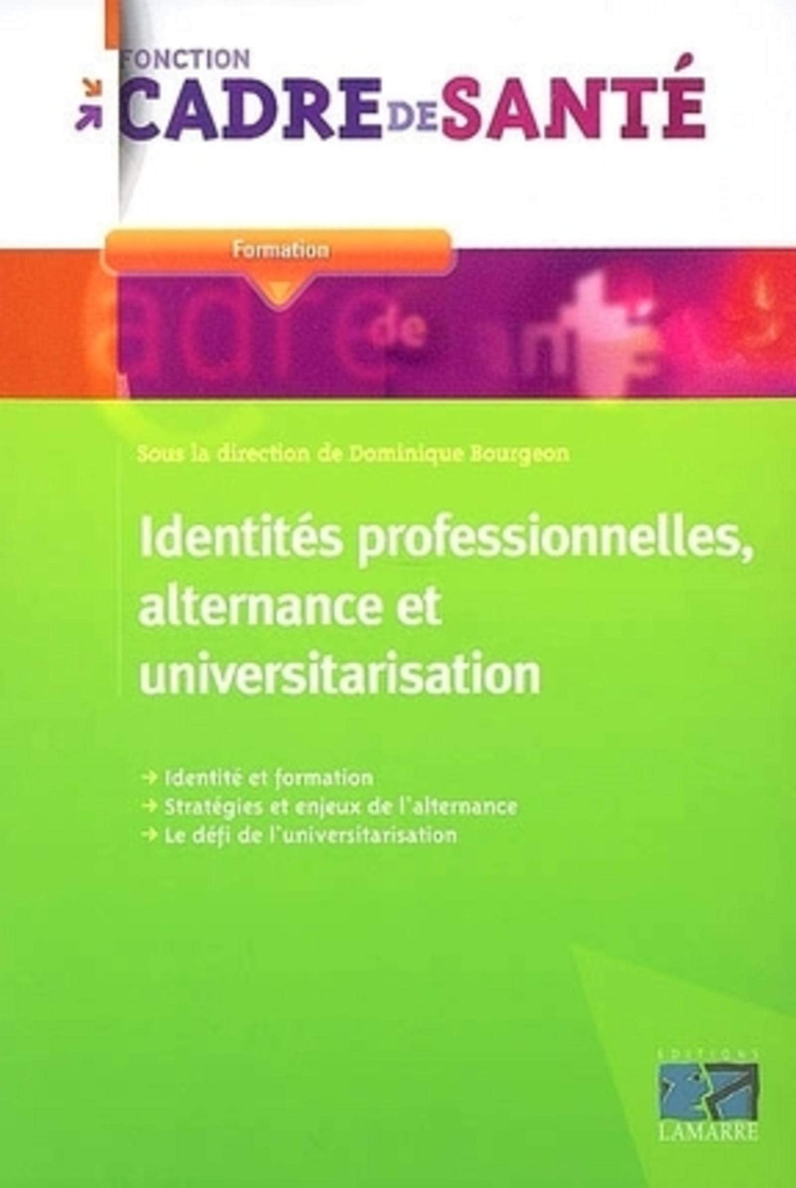 Identités professionnelles, alternance et universitarisation book