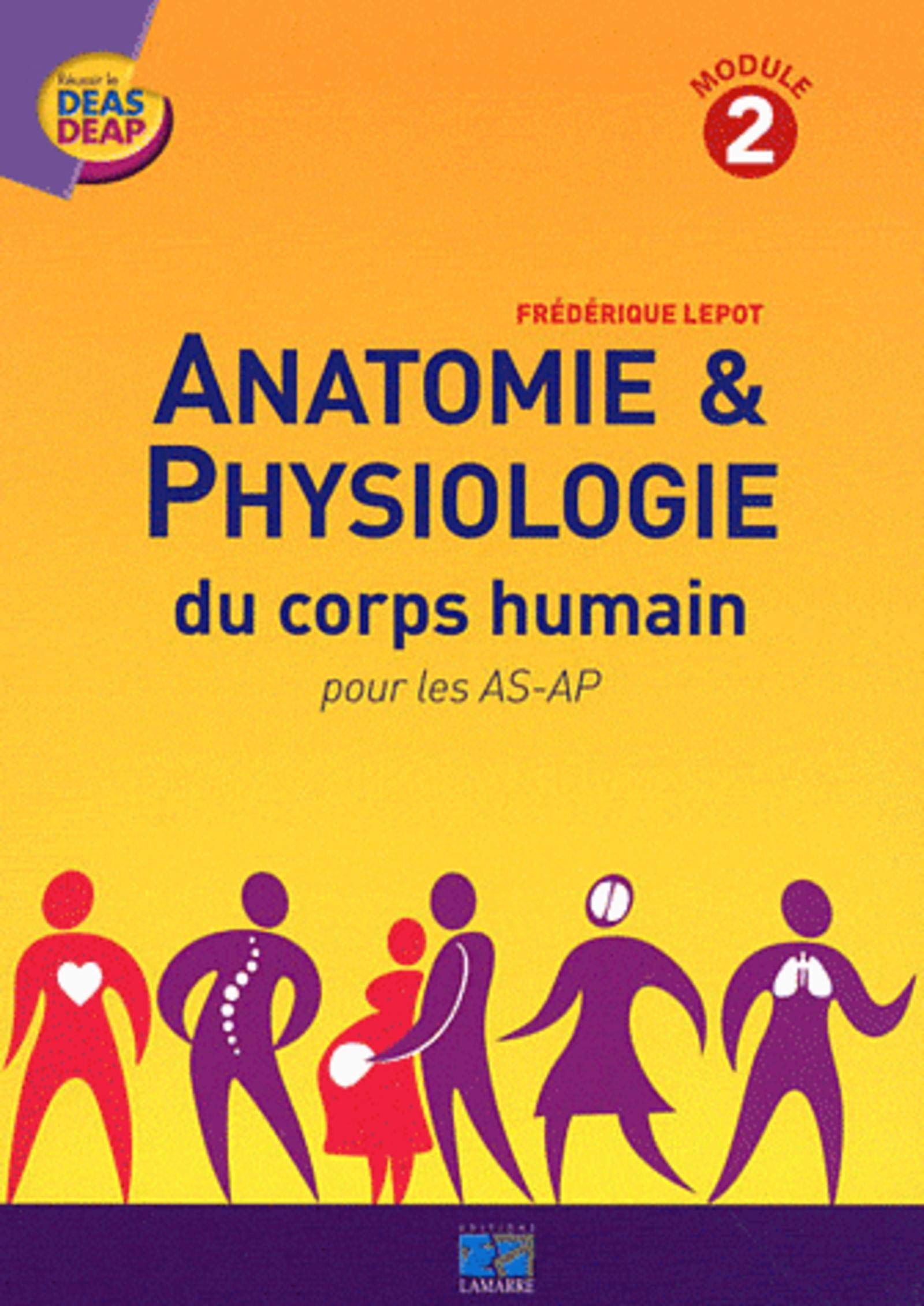 ANATOMIE ET PHYSIOLOGIE DU CORPS HUMAIN POUR LES AS AP MODULE 2: MODULE 2 book