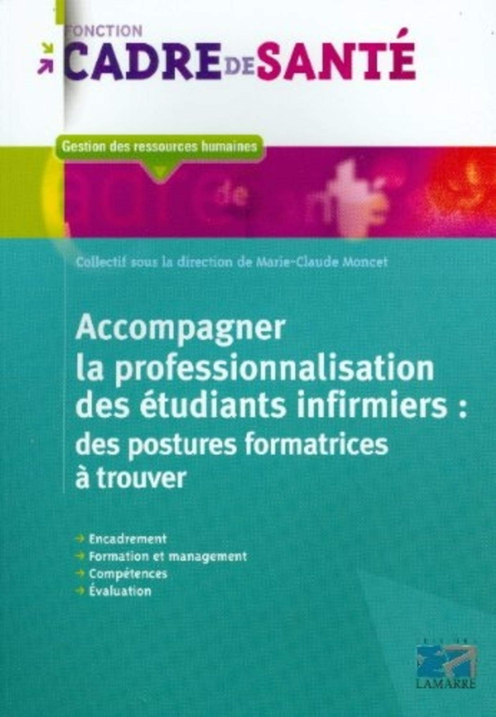 Accompagner la professionnalisation des étudiants infirmiers: Des postures formatrices à trouver Medicine