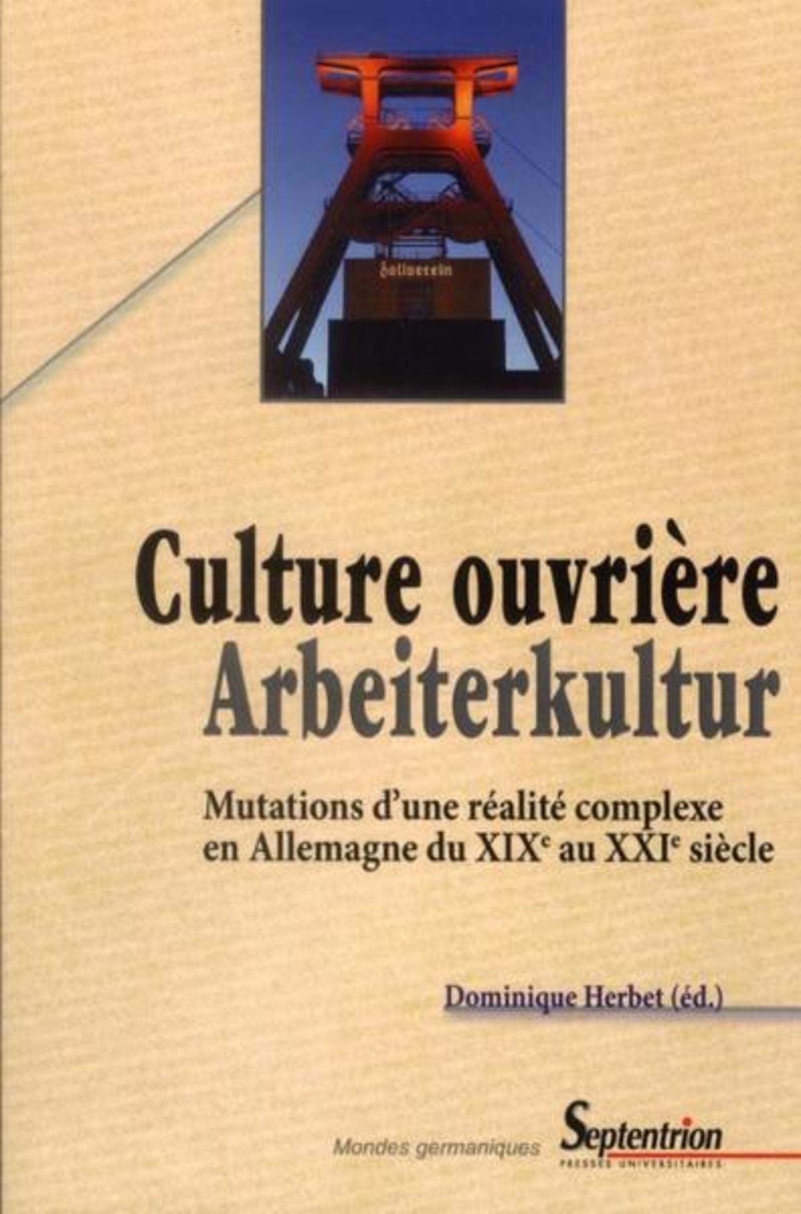 Culture ouvrière mutations d'une réalité complexe en Allemagne du XIXe au XXIe siècle: MUTATIONS D''UNE REALITE COMPLEXE EN ALLEMAGNE DU XIXE AU XXIE SIECLE book