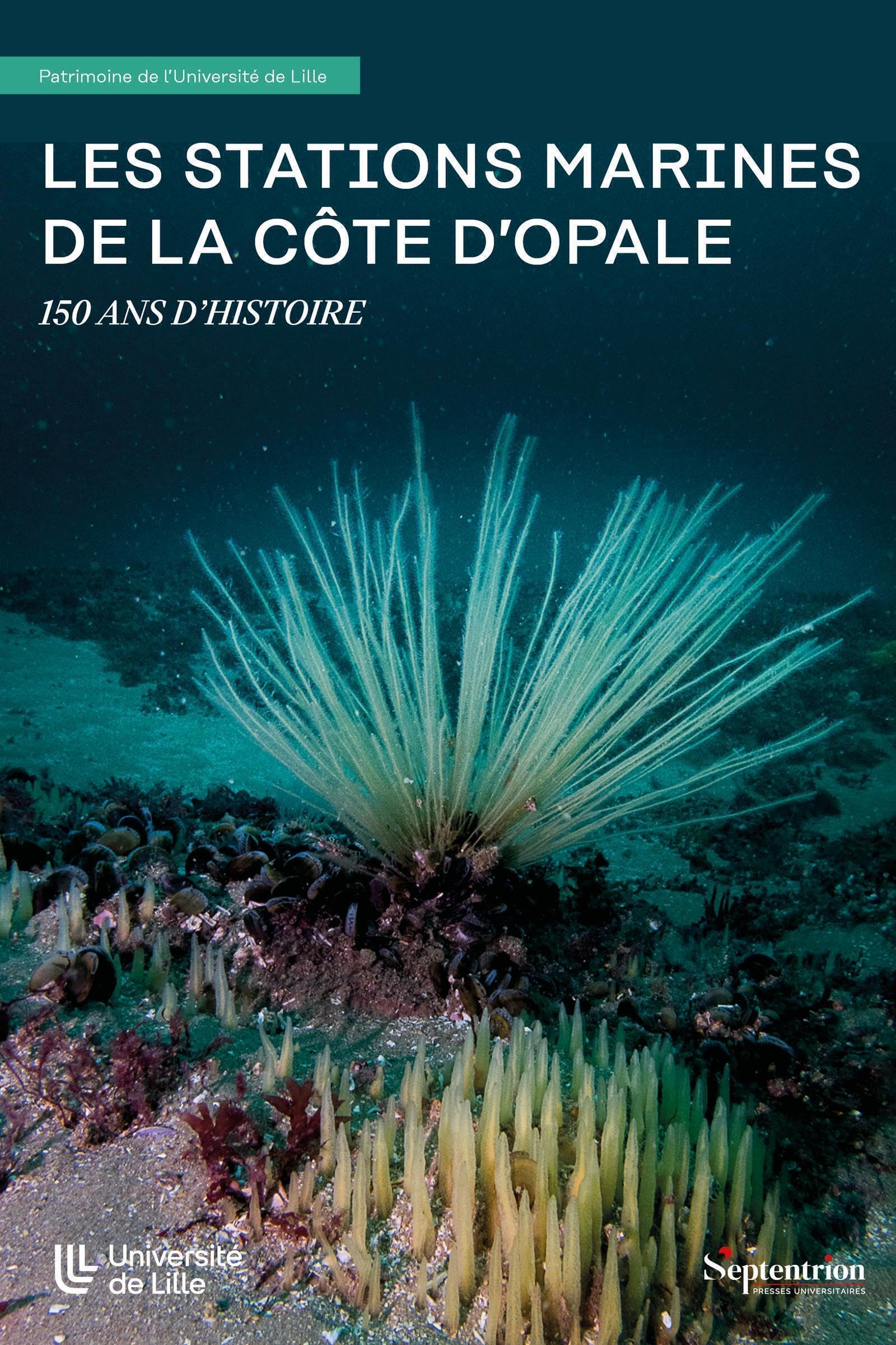 Les stations marines de la côte d'Opale: 150 ans d'histoire book