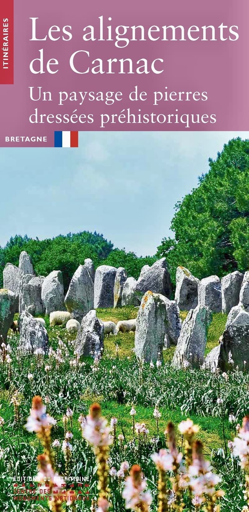 Les Alignements de Carnac: Un paysage de pierres dressées préhistoriques Leisure, Home & Garden