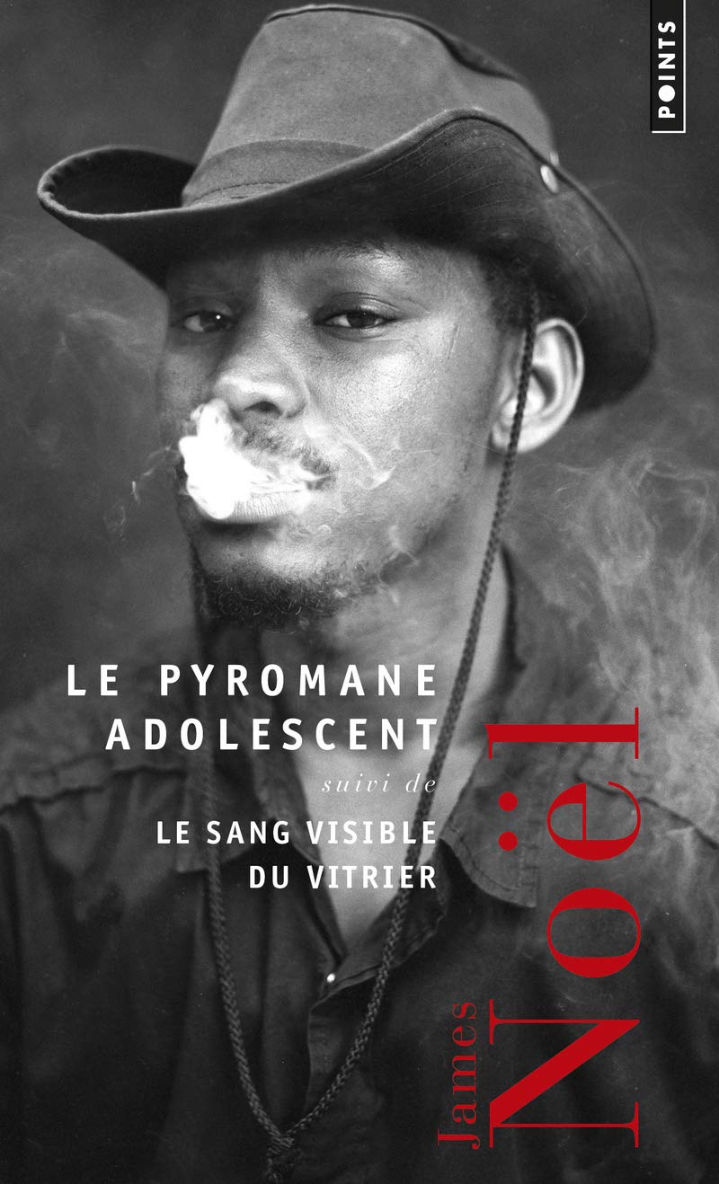 Le Pyromane adolescent suivi de Le Sang visible du vitrier book