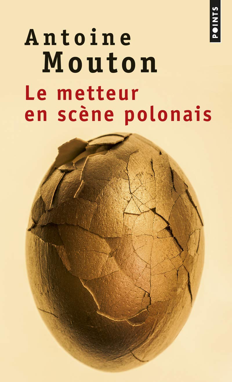 Le Metteur en scène polonais book