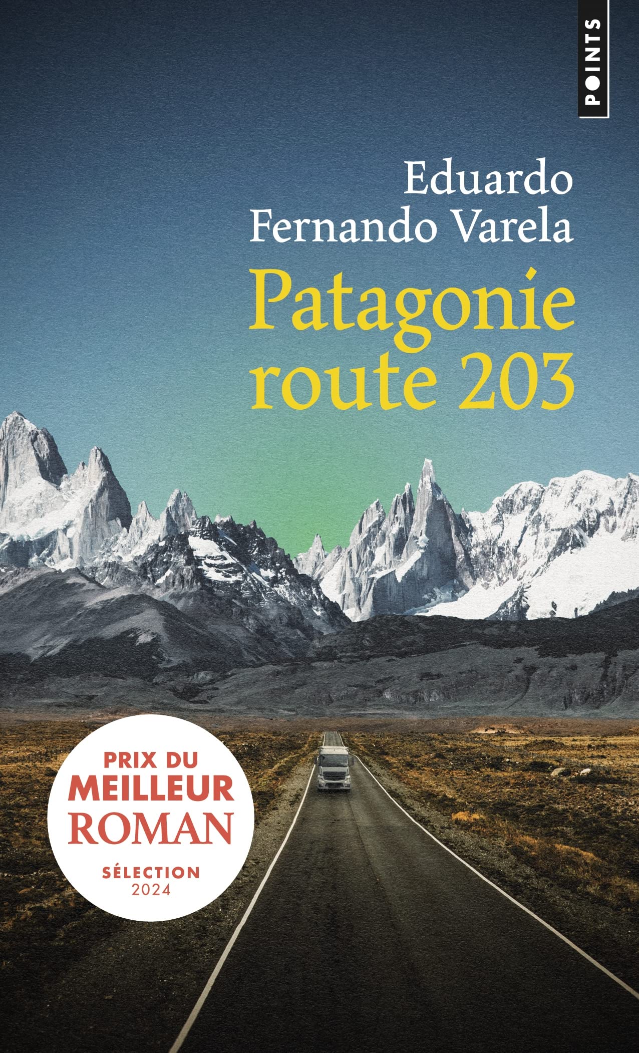 Patagonie route 203 book