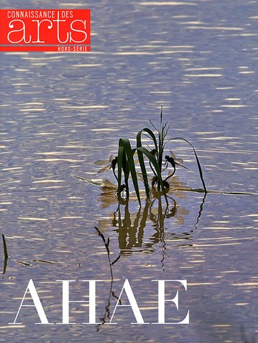 Connaissance des Arts, Hors-série N° 540 : Ahae : Exposition Books