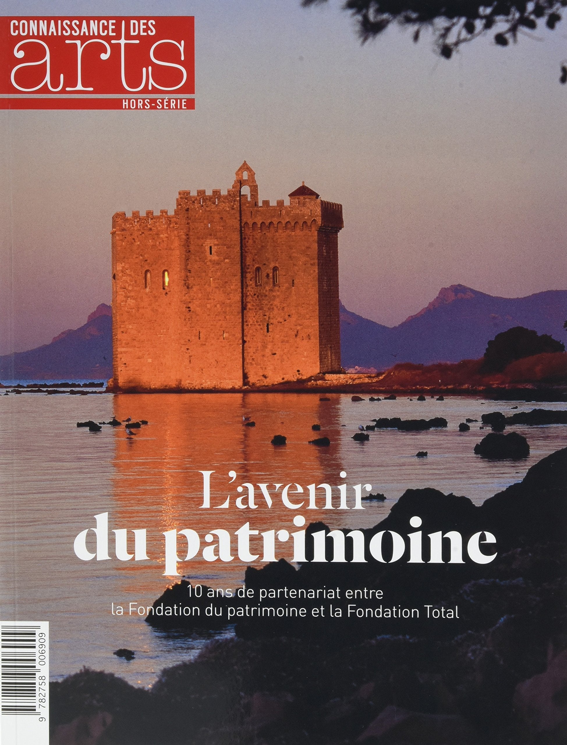 FONDATION DU PATRIMOINE book