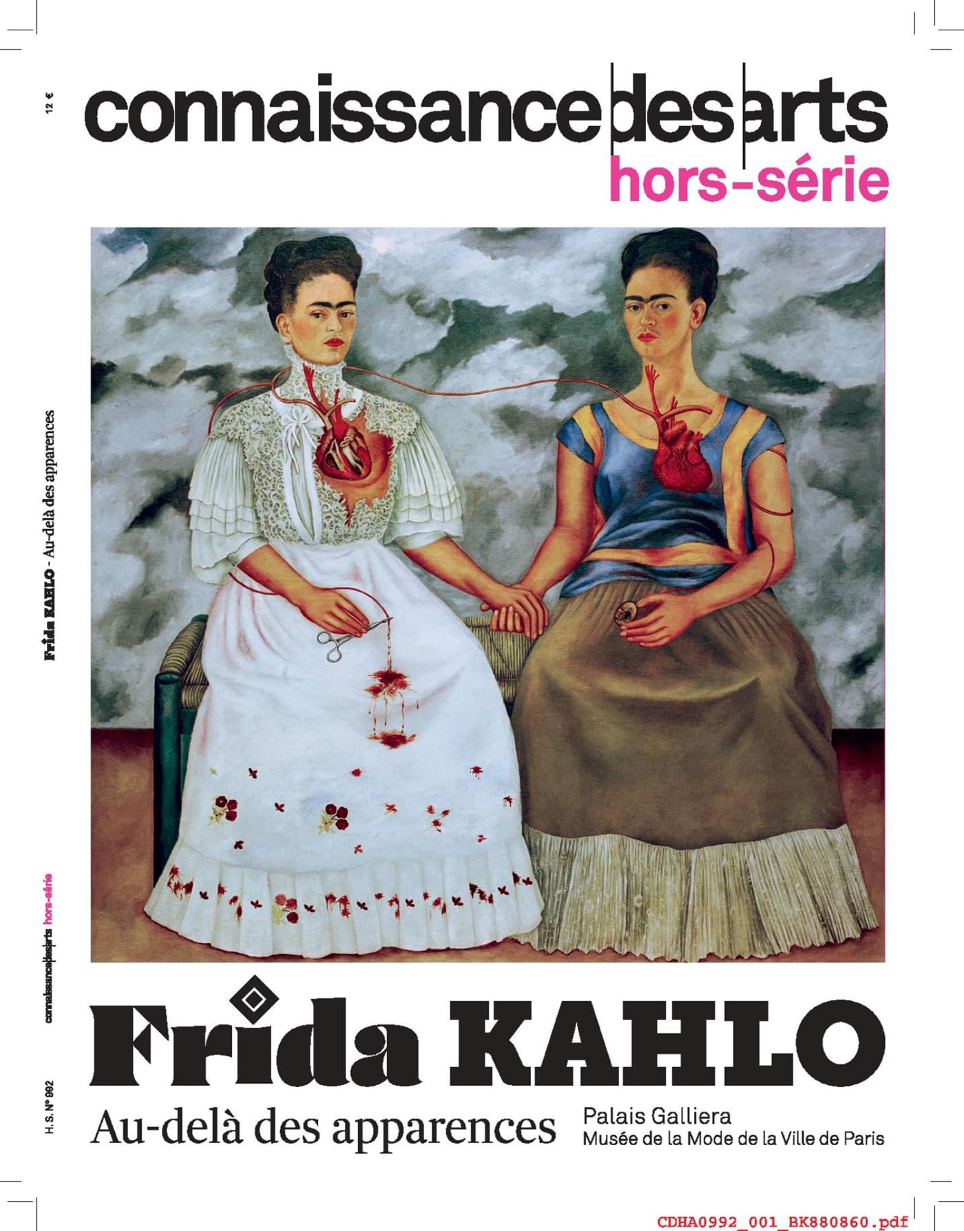 Frida Kahlo : au-delà des apparences Film, Art & Culture